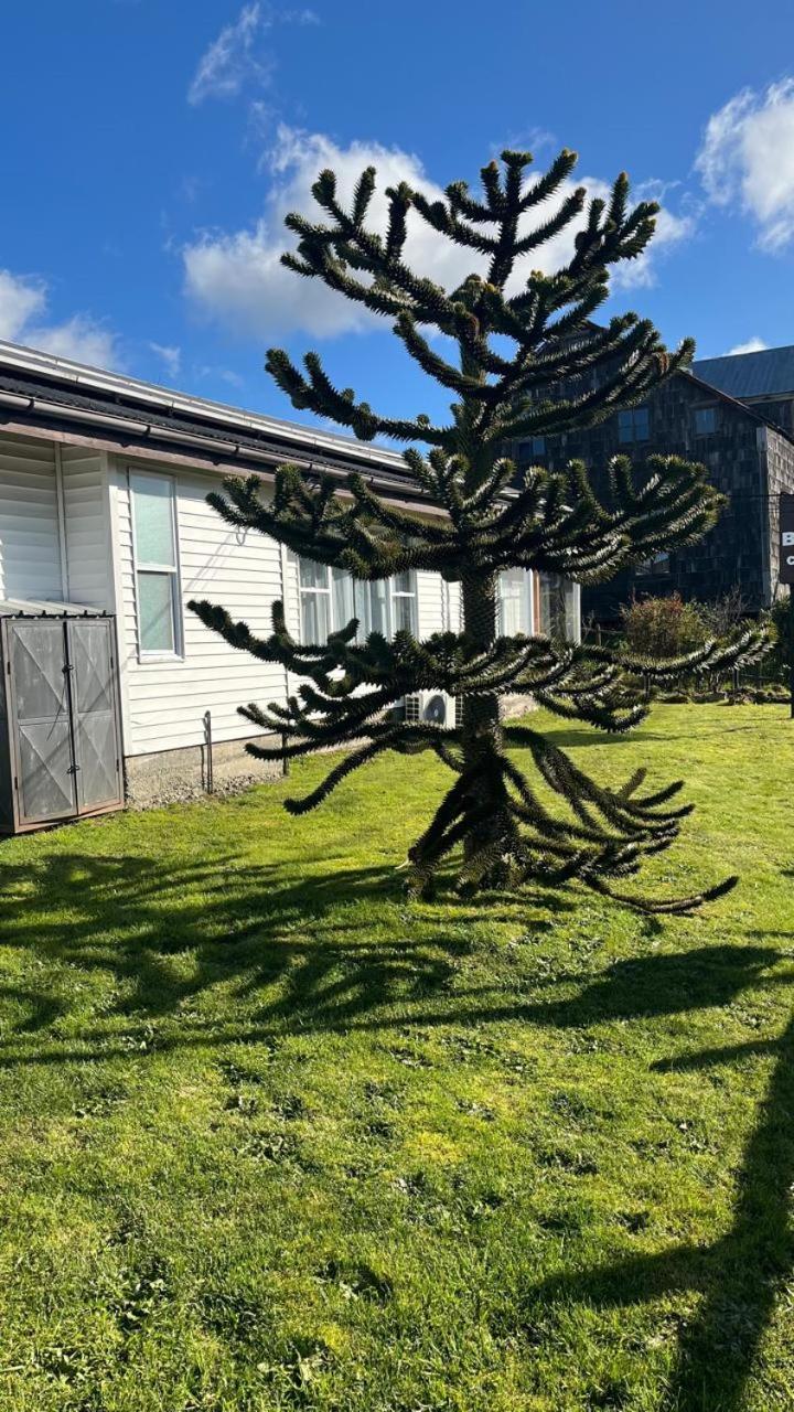 Cabanas Bosque Sur Puerto Varas Esterno foto